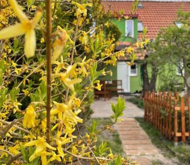 Uniescie Casa | Domek Zielony