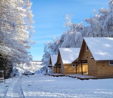 Ustrzyki Dolne Chalet De Esquí | Domki Bieszczady - Baza uŚmiechów