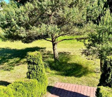 Debina Casa | Domki Dębina