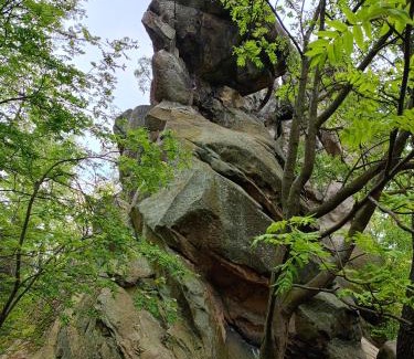 Baligrod Casa | Domki nad potokiem w Baligrodzie