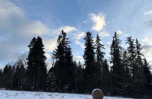 Maruszyna Apartamento | Domki u Marii- agroturystyka
