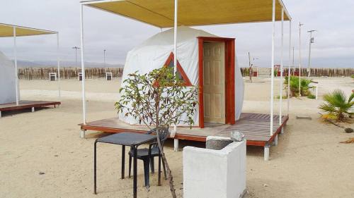 Bahia Inglesa Otro | DOMO CAMPING