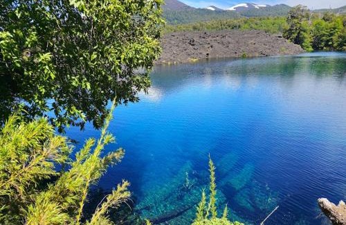 Melipeuco Cabina | Domo conguillío glamping