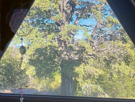 Melipeuco Chalet De Esquí | Domo Conguillio Conecta con tu energía sagrada junto al Salto Truful Truful con una vista majestuosa que podrás disfrutar en una tinaja Una experiencia que alineará tu espíritu y tu energía interior Vívelo