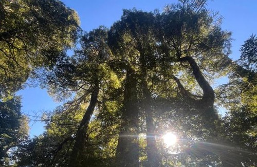 Melipeuco Chalet De Esquí | Domo Conguillio Conecta con tu energía sagrada junto al Salto Truful Truful con una vista majestuosa que podrás disfrutar en una tinaja Una experiencia que alineará tu espíritu y tu energía interior Vívelo