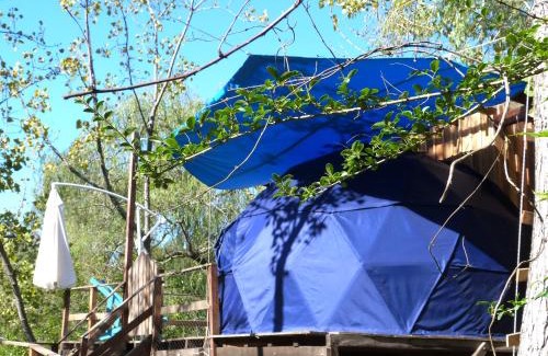 Partido de Tigre Casa | Domo de la Selva Tigre