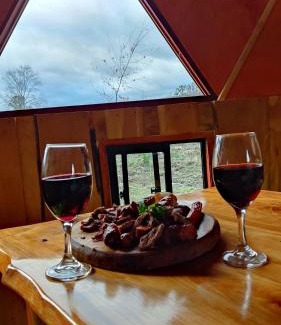 Conaripe Apartamento | Domo Vive Pellaifa