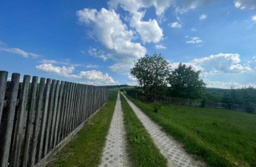 Zwierzyniec Apartamento | Domy na Roztoczu Aleja Lipowa - dom H