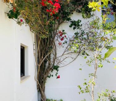 Lagos Casa | Dona Maria 66
