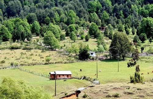 Curacautin Casa | Donde Cuty
