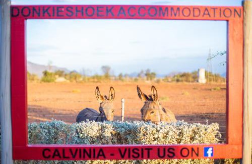 Calvinia Casa | Donkieshoek Accommodation & Campsite, Calvinia