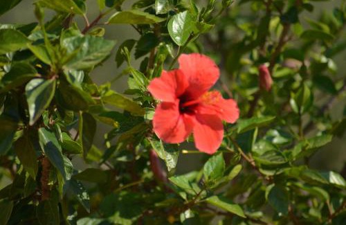 Pollina Casa | Donna Pulina Holidays