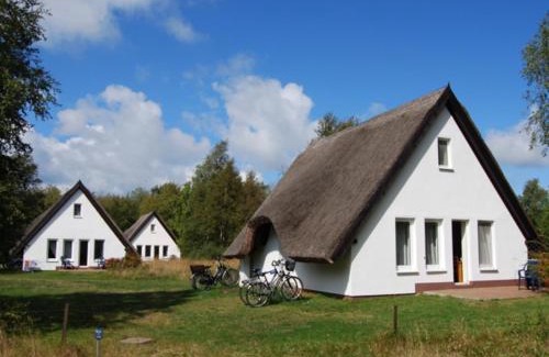 Hiddensee Apartamento | Doppelhaushälfte in Vitte auf Hiddensee