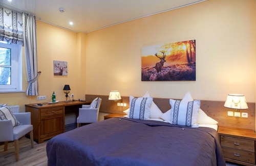 Clausthal-Zellerfeld Casa | Doppelzimmer - Hotel Zum Harzer