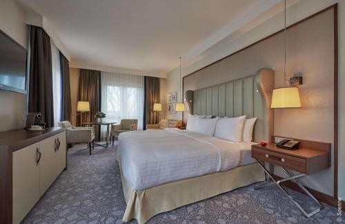 Zentrum Hotel | Dorint Hotel Bonn