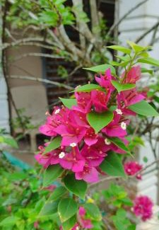 Kampung Guar Complejo | Dorm2