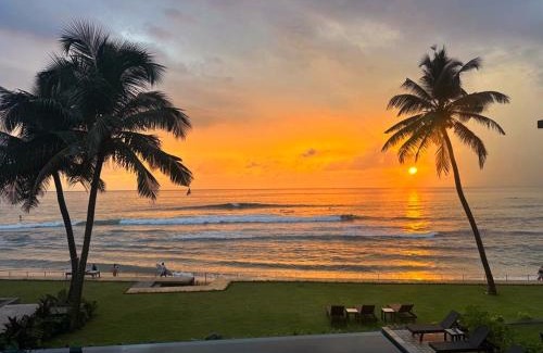 Thiranagama Hotel | DORMERO Hotel Sri Lanka Hikkaduwa Beach