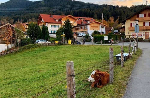 Sonnen Apartamento | Double room mountain view no. 20 - Wellnesshotel Waldruh
