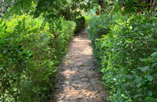 Mpigi Apartamento | Double Room - Mpanga Nature Center