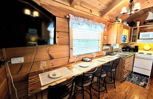 Sevierville Cabina | Douglas Lakeview 1 BR/1 Bath Log Cabin w/Lake Access & Launch, Near Smoky Mtns.