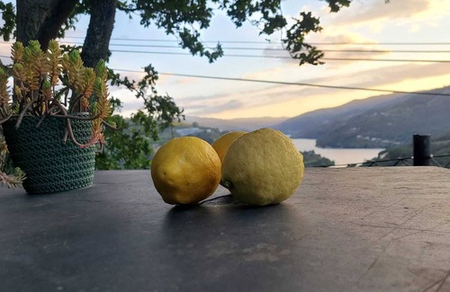 Resende Casa | Douro Mesio Guest House