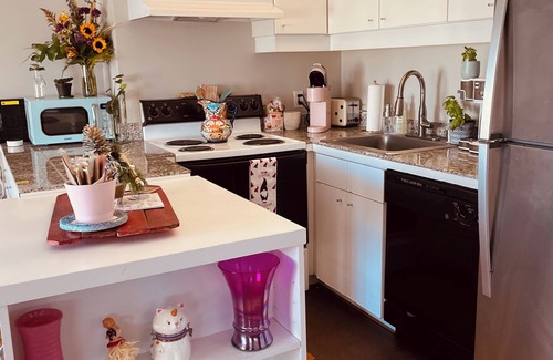 Downtown Houston Apartamento | Downtown adventure- Easy access for sports and entertainment.
