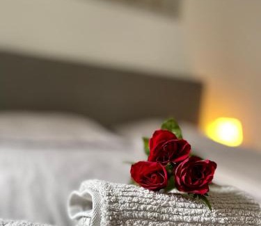 Zentrum-West Apartamento | Downtown Apartment 4U Leipzig