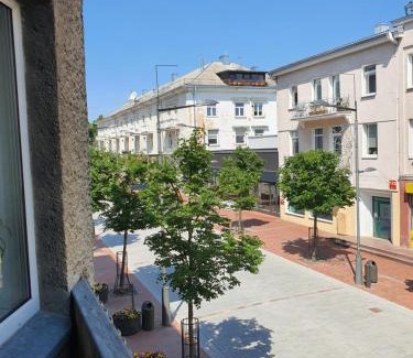 Siauliai City Center Apartamento | Downtown Boulevard View Residence