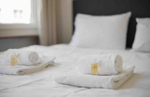 Sihlfeld Apartamento | Downtown Deluxe Studio with Queen Bed BE-45