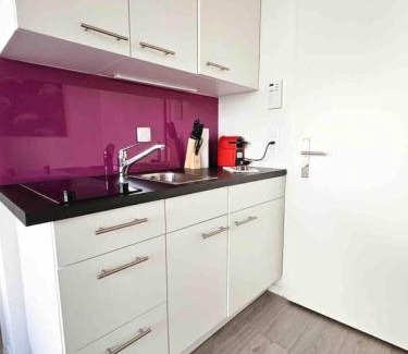 Sihlfeld Apartamento | Downtown Deluxe Studio with Queen Bed BE-15