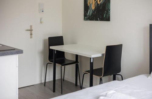Sihlfeld Apartamento | Downtown Deluxe Studio with Queen Bed BE-55