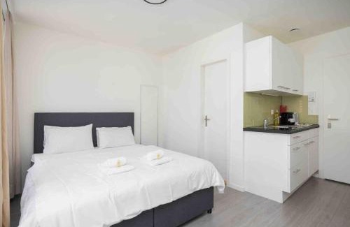 Sihlfeld Apartamento | Downtown Deluxe Studio with Queen Bed BE-35