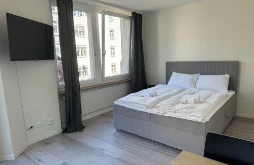 Sihlfeld Apartamento | Downtown Deluxe Studio with Queen Bed BE-26