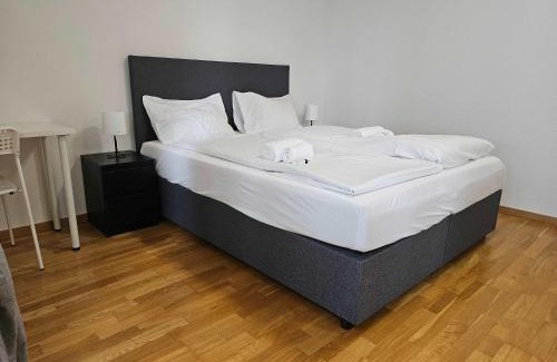 Oerlikon Casa | Downtown Dream 3 5BR with Balcony and Style BA21