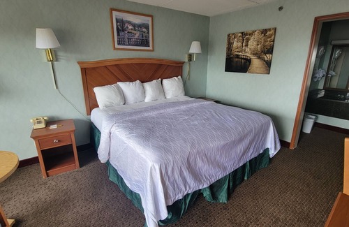 Asheville Hotel | Downtown Inn #4 - King Room