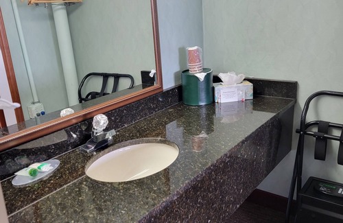 Downtown Asheville Hotel | Downtown Inn and Suites