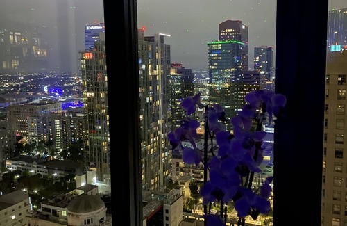 Paramount Casa | Downtown Los Angeles luxury high rises