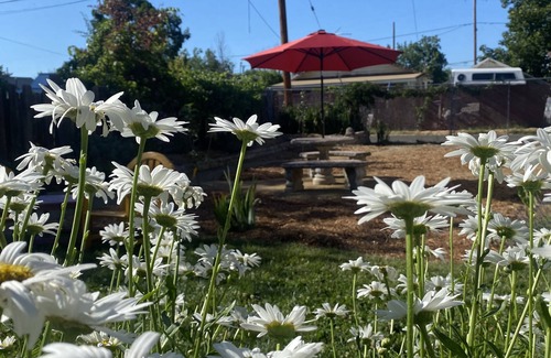 Medford Cabaña | Downtown Mint