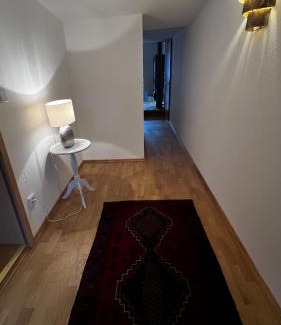 Bad Soden-Salmuenster Apartamento | Downtown No 3