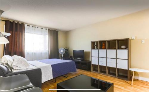 Downtown Edmonton Casa | Downtown River Valley Bachelor Suite Condo, NON Smoking, 12 inches Queen Bed, Beautiful Minimalist, very convenient every where