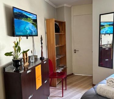 Lastarria Apartamento | Dpto acogedor en Lastarria