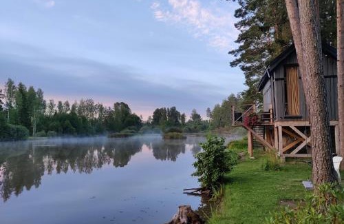 Pedvale Casa | Dragon house in the tree! Jacuzzi, Sauna ,Cinema,Heated