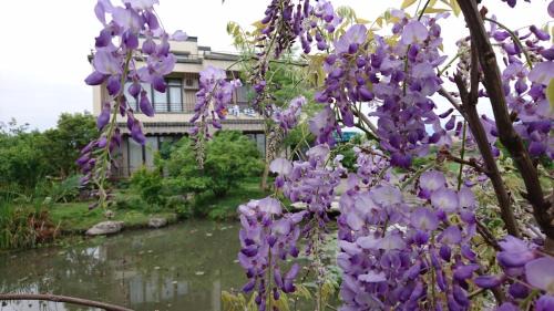 Sanxing Casa | Dragonfly B&B