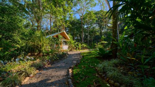 Punta Uva Complejo | Dragonfly Beachfront Villas-Adult Only