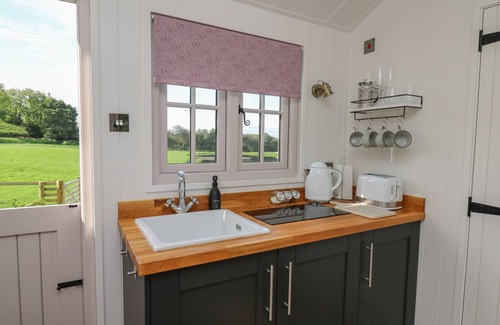 Llanarth Cabaña | Dragonfly Shepherd's Hut