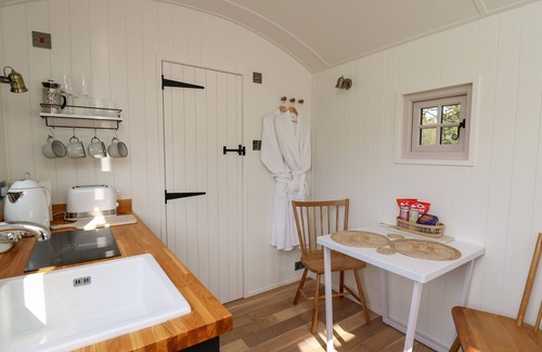 Llanarth Cabaña | Dragonfly Shepherd's Hut