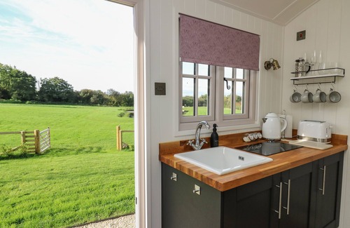 Llanarth Cabaña | Dragonfly Shepherd's Hut