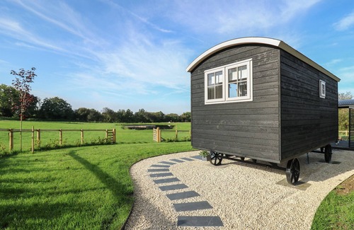 Llanarth Cabaña | Dragonfly Shepherd's Hut