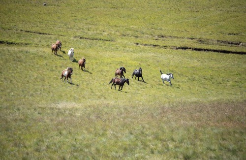 Kwa Sani Casa | Dragons Landing Guest Farm