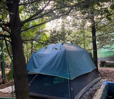 Irinjalakuda Otro | Dragster Tents